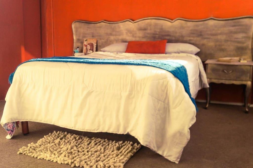 Colonia Del Valle Homestay Mexico City