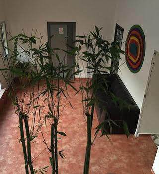 Hotel Oyo Oasis Centro Cerca Del Hospital Issste Hospital Jose Ma Morelos 2*