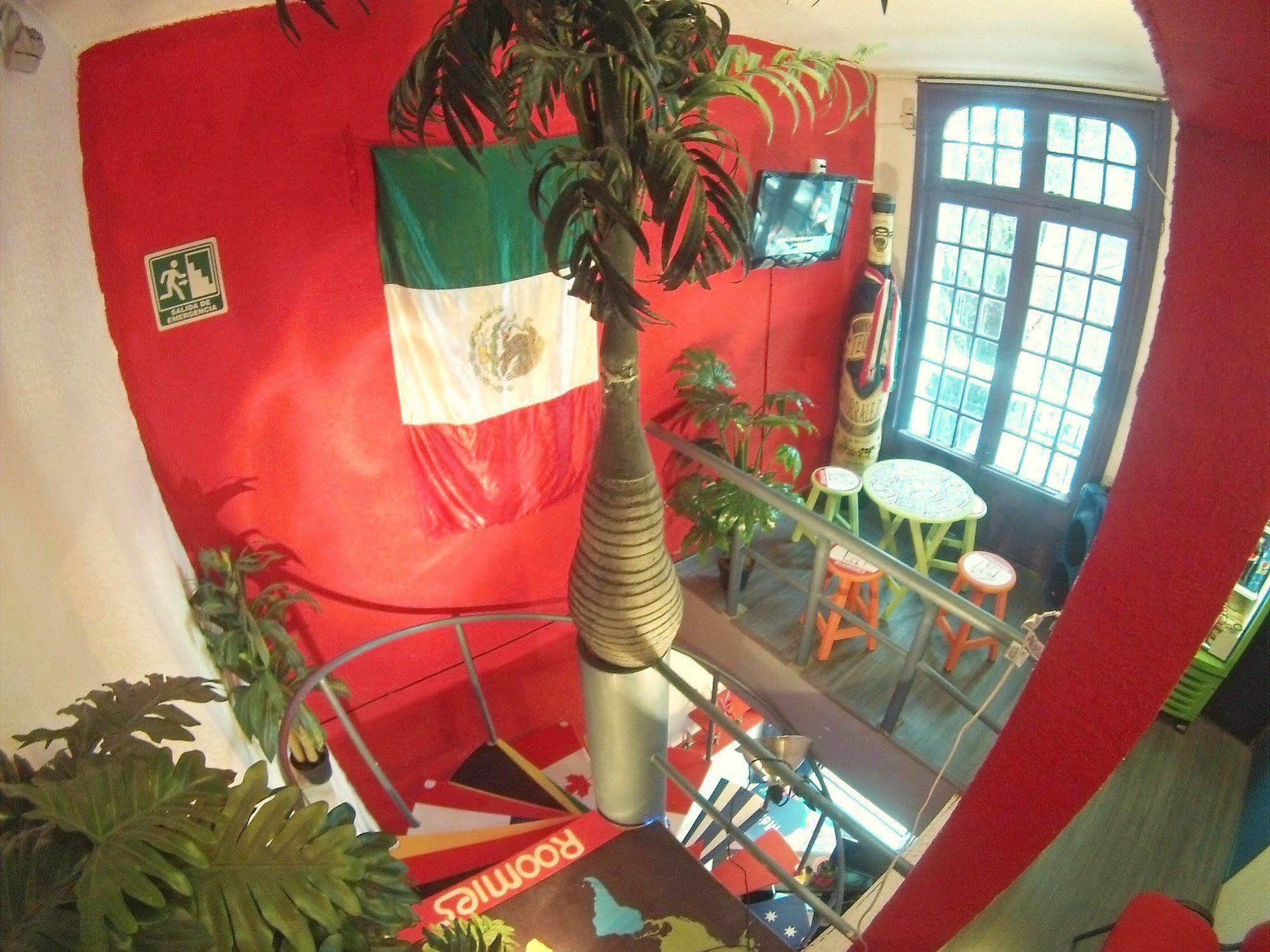 Roomies Roma * Mexico City