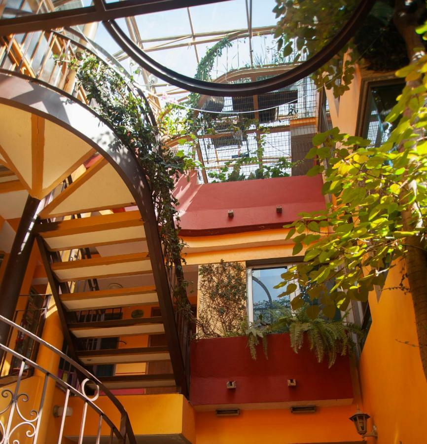 Del Carmen, Coyoacan Mexico City