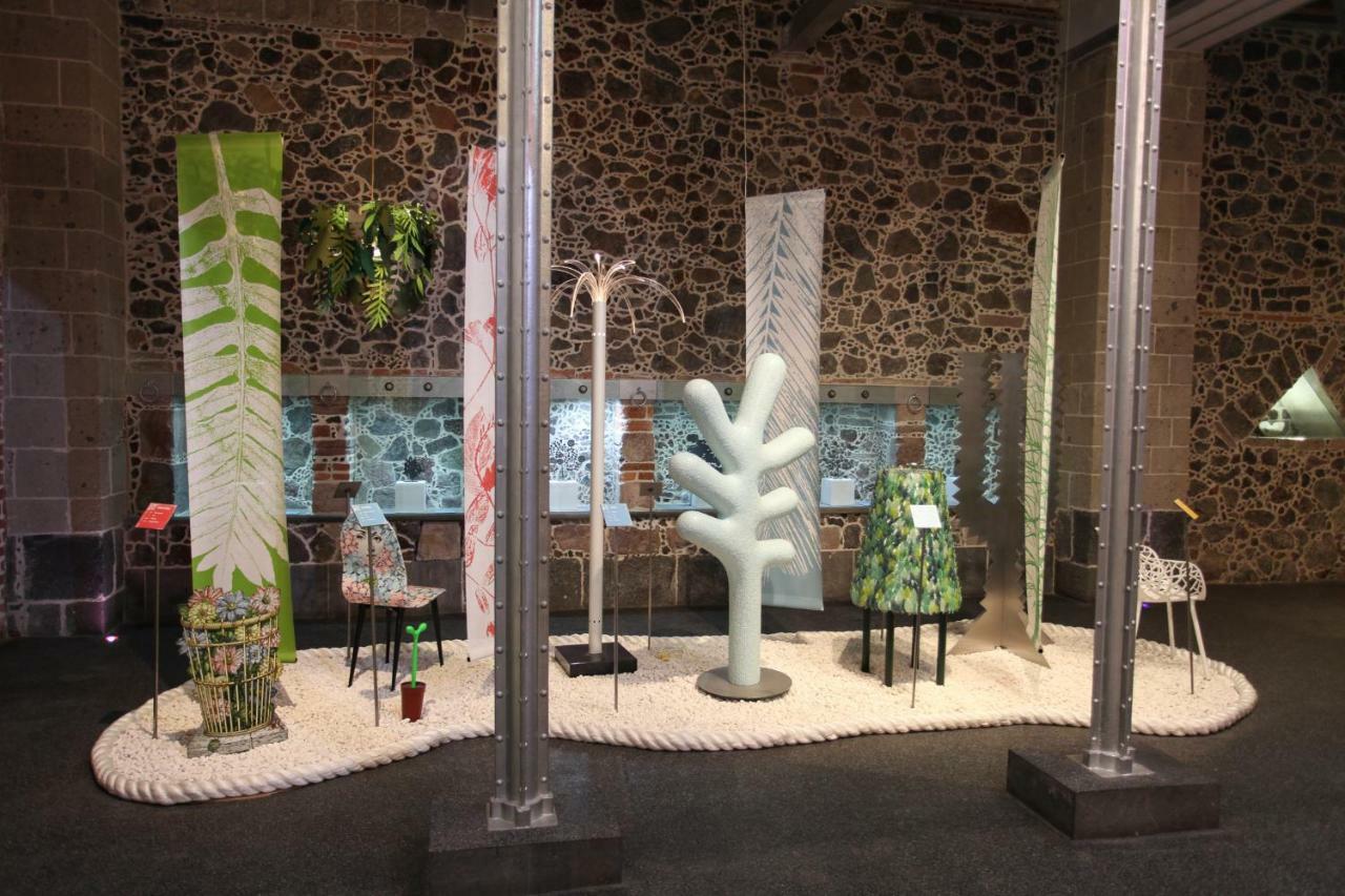 Mumedi Design 2* Mexico City