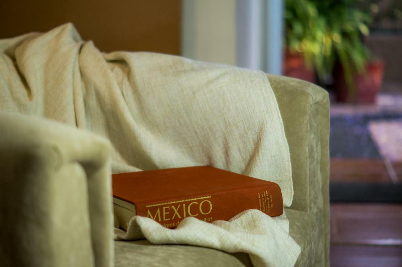 Apartment 4b Bazzar, Garden House, Welcome To San Angel Mexico City