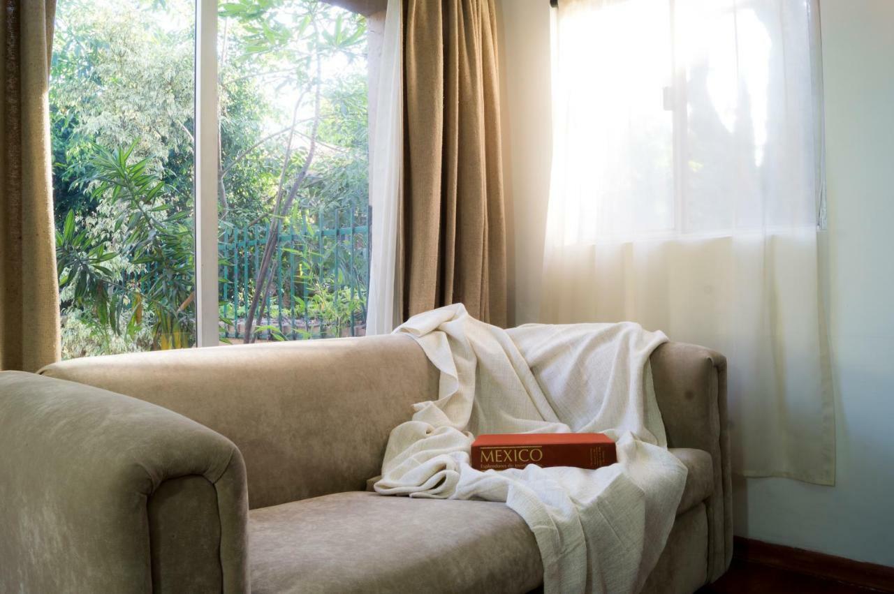 4b Bazzar, Garden House, Welcome To San Angel Apartment *