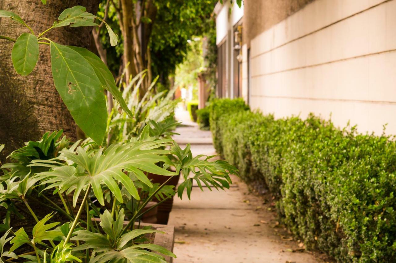 4b Bazzar, Garden House, Welcome To San Angel Apartment