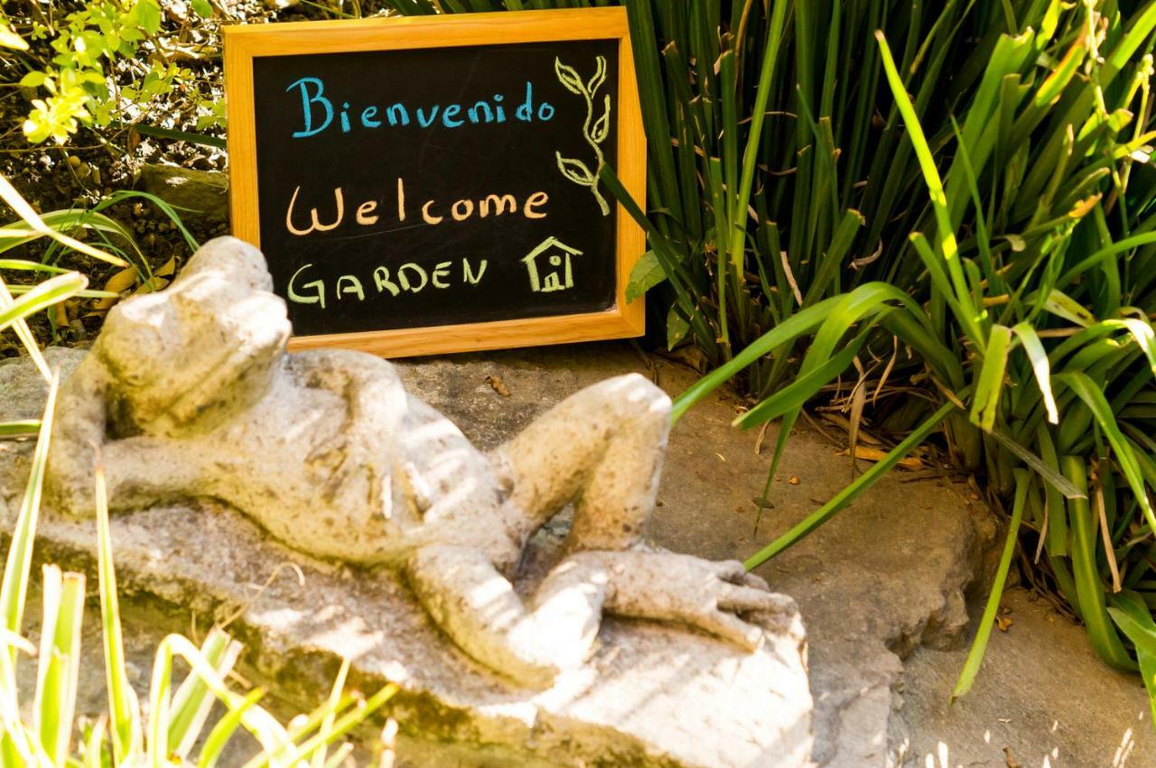 4b Bazzar, Garden House, Welcome To San Angel Apartment