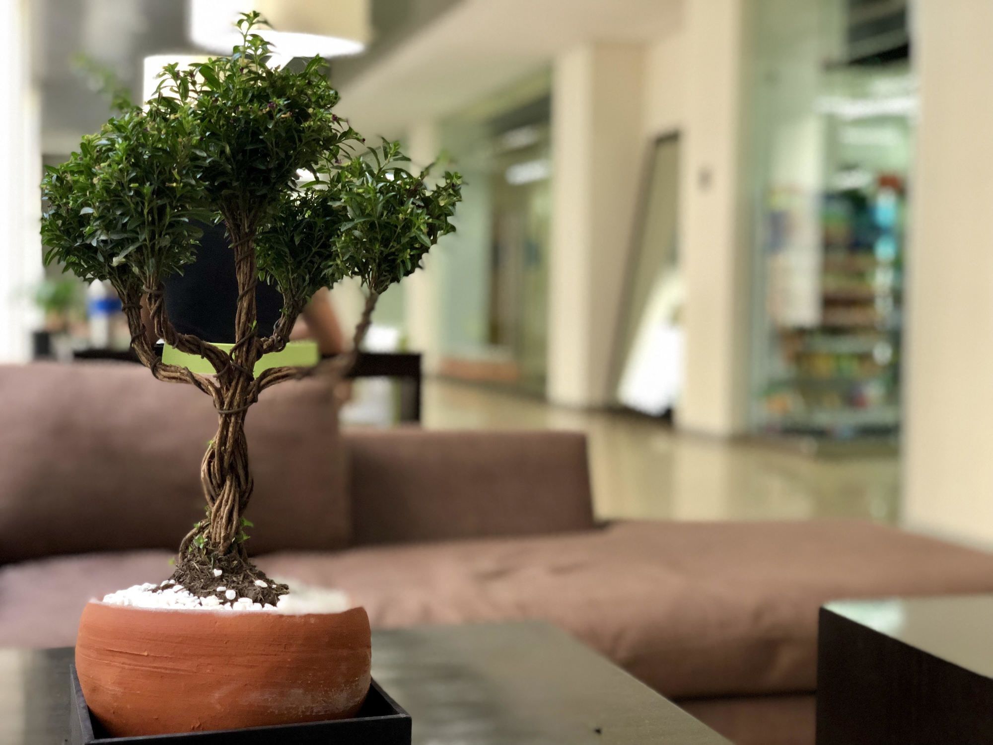 Apartment Downtown 3 K Mexico City