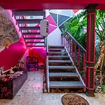 Casa Maguey