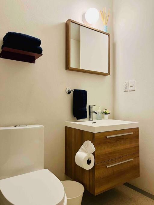 D 111 Beautiful & Confortable Loft Centro Cdmx *