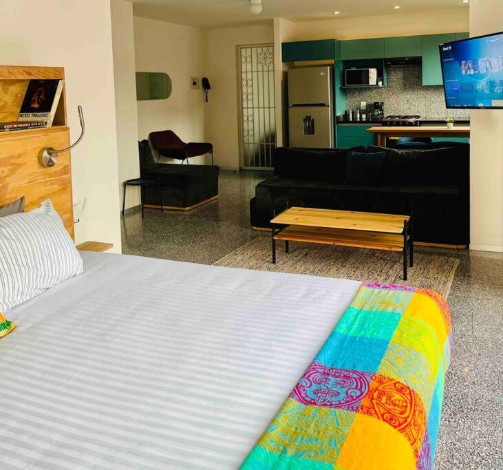 Apartment D 111 Beautiful & Confortable Loft Centro Cdmx