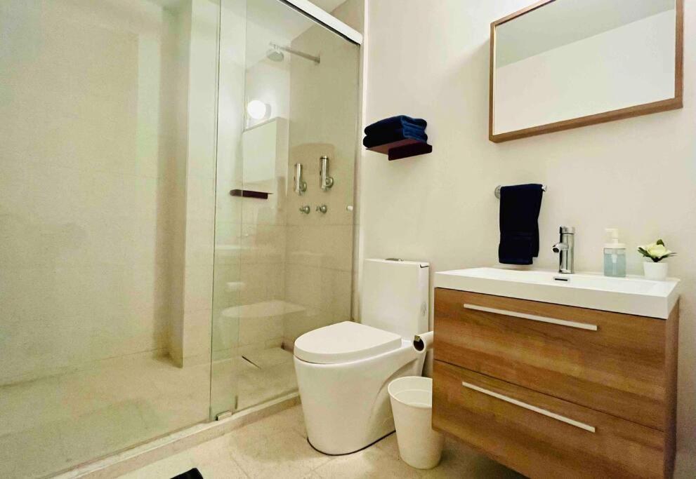 Apartment D 111 Beautiful & Confortable Loft Centro Cdmx *