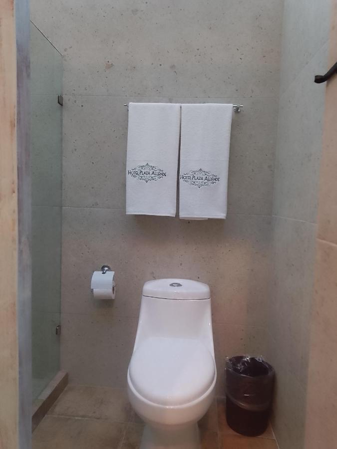 Sonno Plaza Allende Hotel *