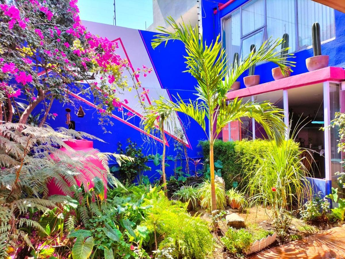 Guest house Casa Maguey