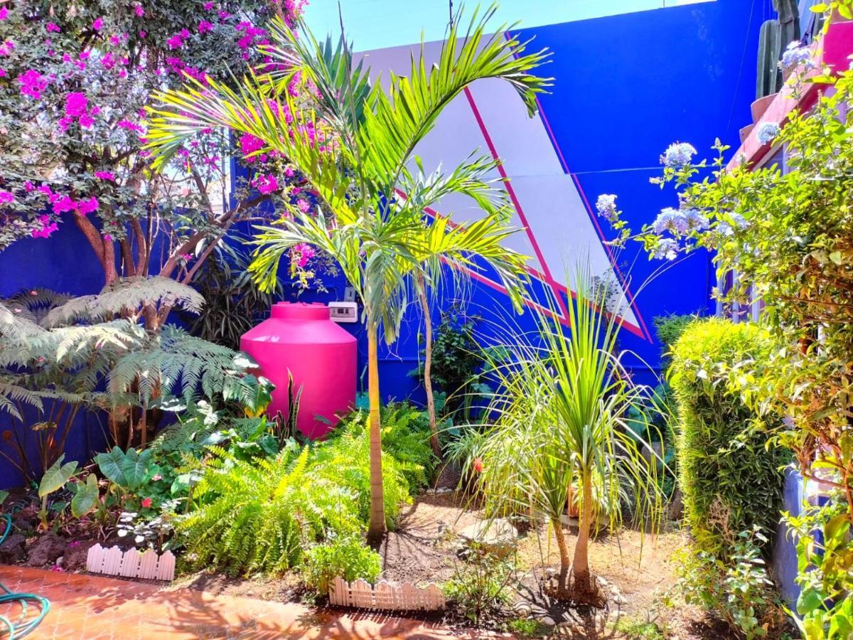 Casa Maguey Mexico City