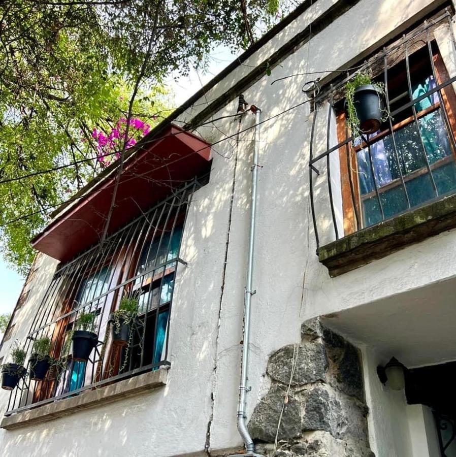 La Casa De Fleur De Lis In Historic San Angel Mexico City