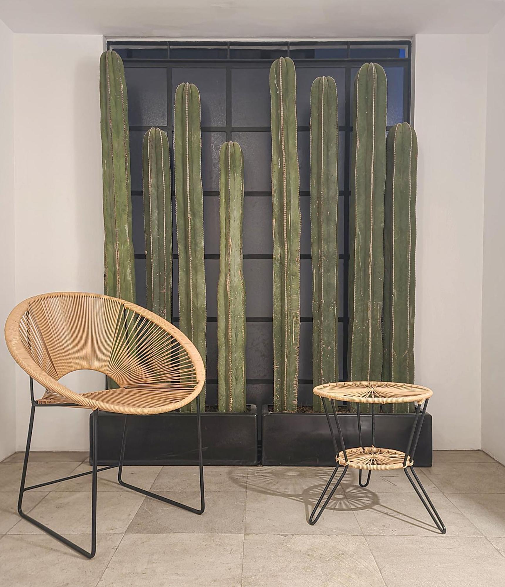 Apartment Casa Antonio By Kukun Mexico City