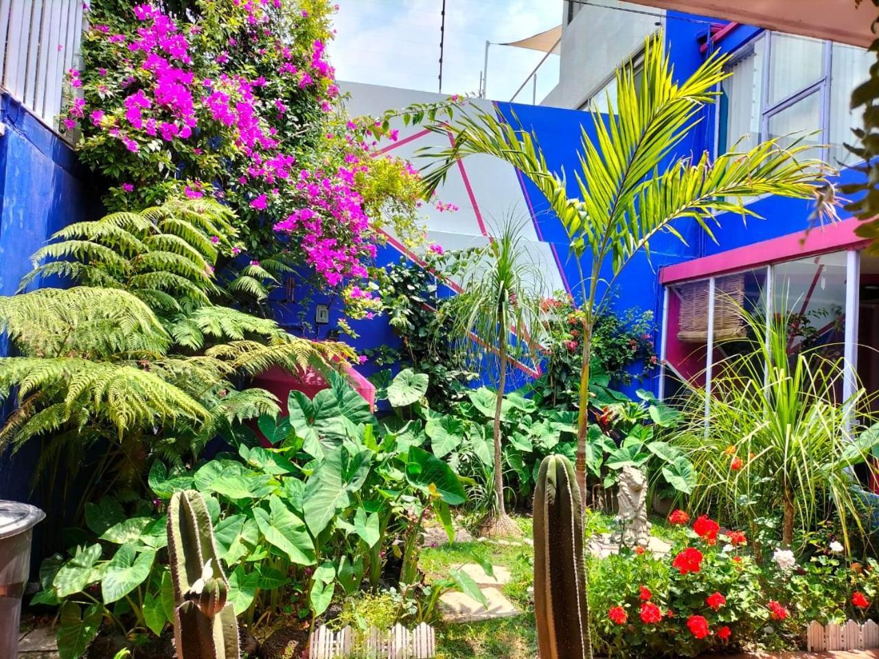 Casa Maguey Guest house *