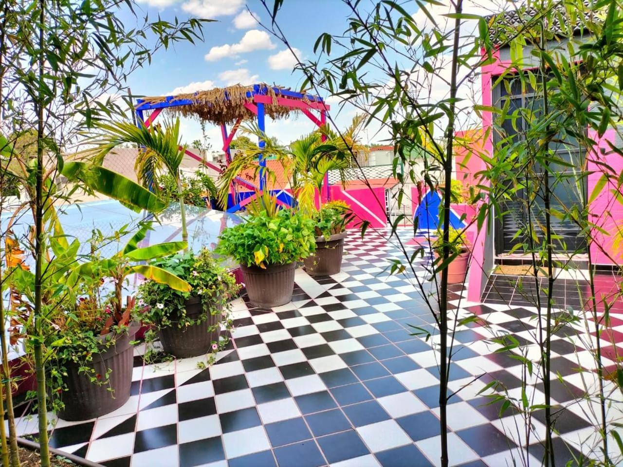 Casa Maguey * Mexico City