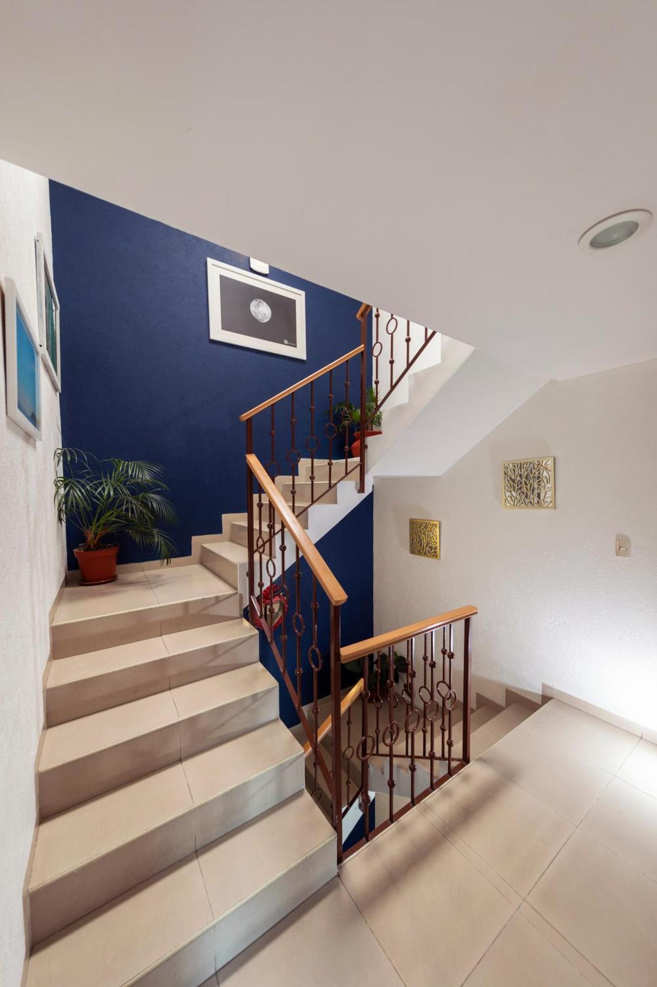 Casa Hidalgo En El Corazon De Coyoacan 3*
