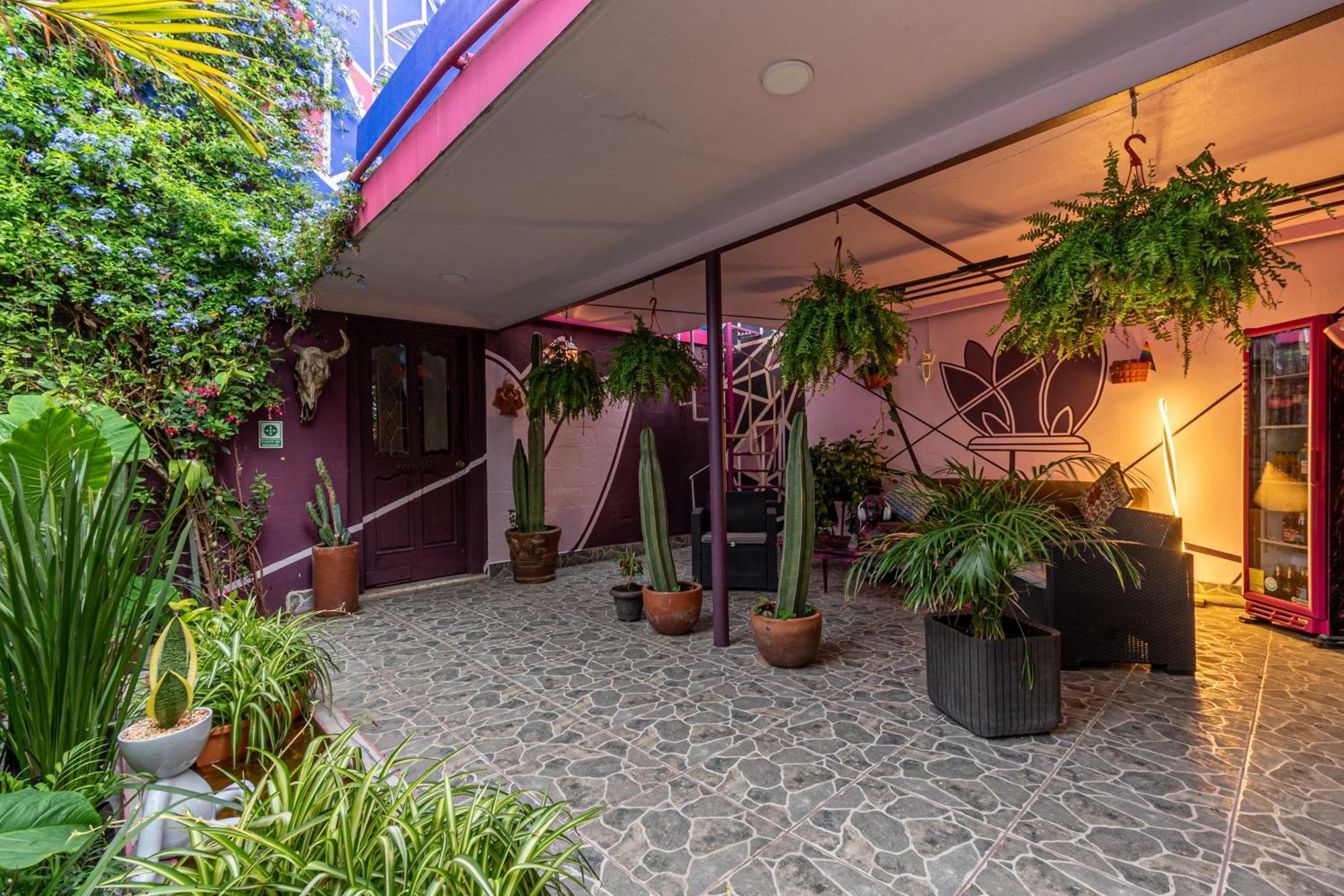 Casa Maguey Guest house Mexico City