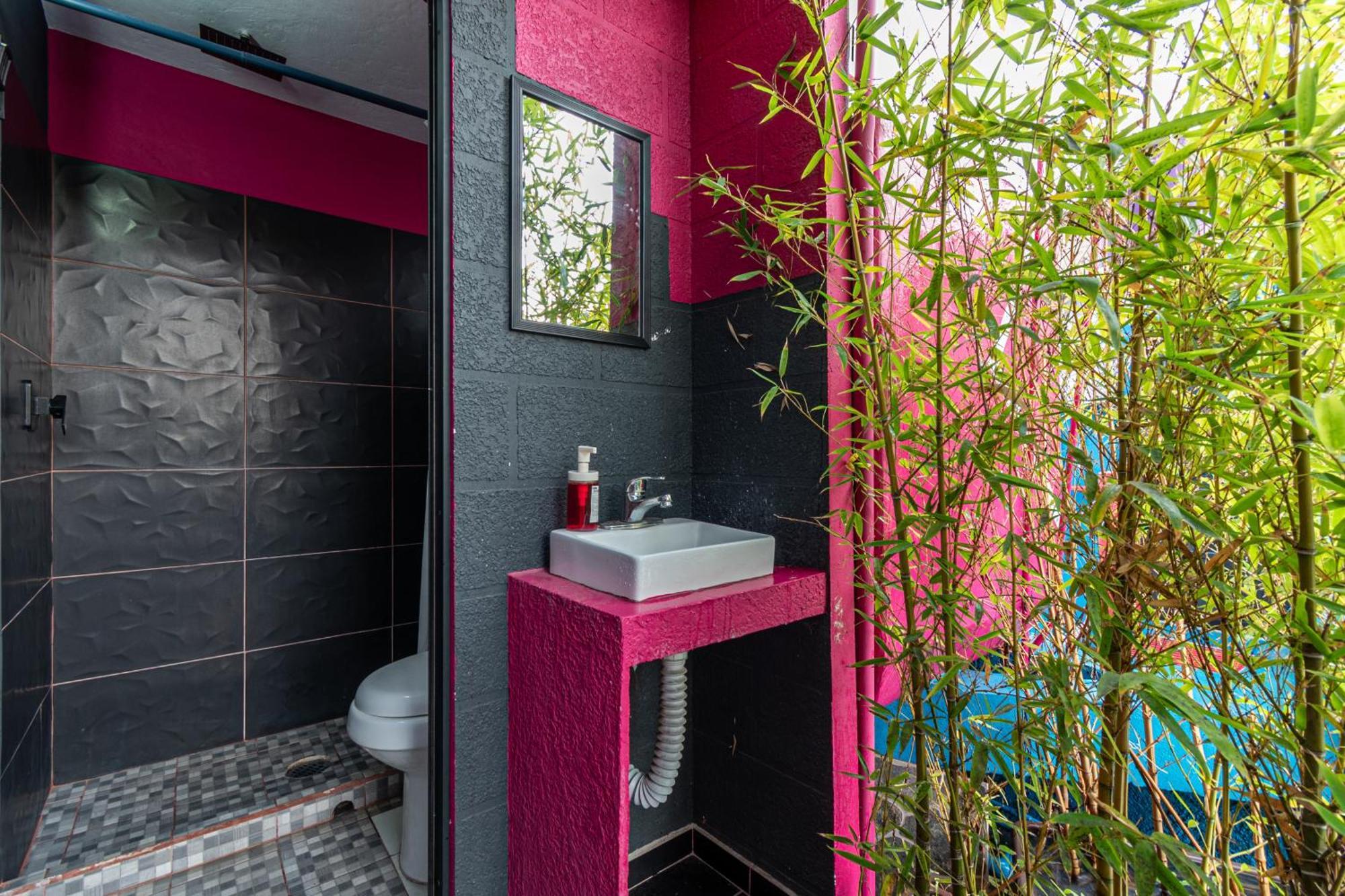 Guest house Casa Maguey Mexico City