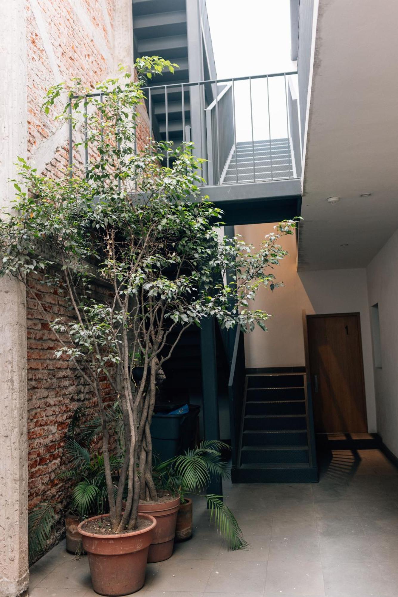 Casa Xotol Apartment