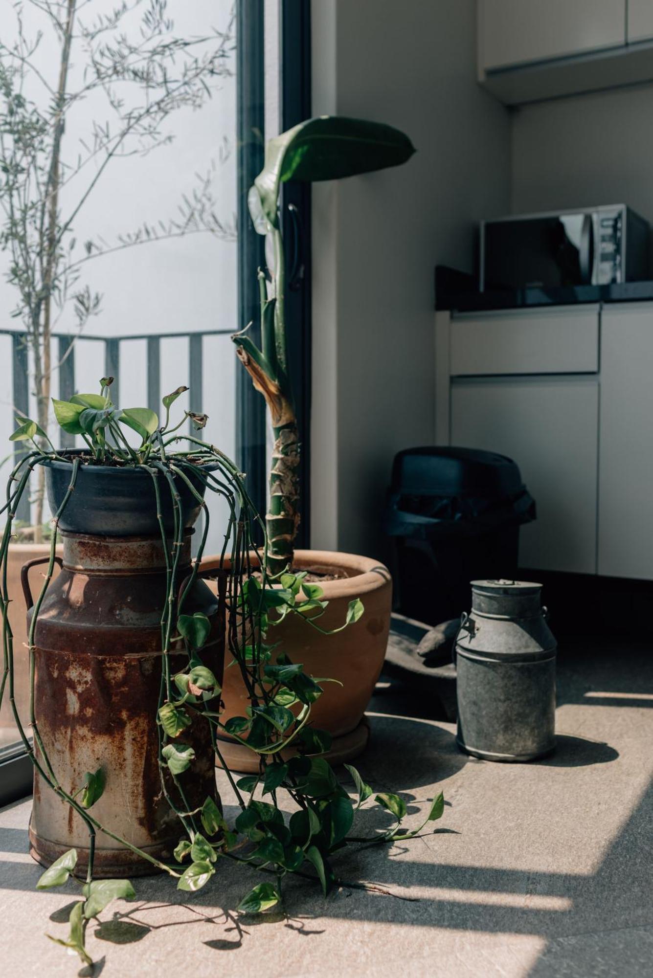 Casa Xotol Apartment Mexico City
