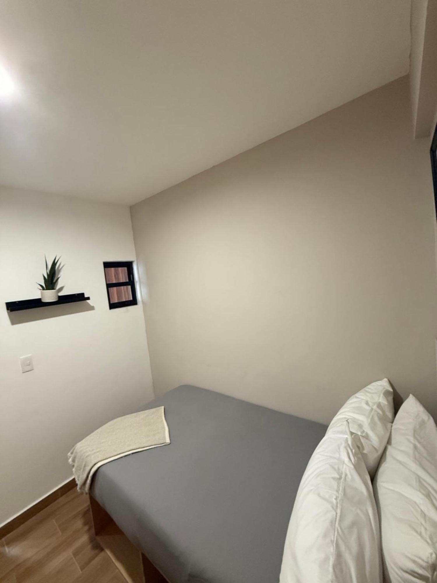 Oasis Tlalpan Gardenia - Hivenb *
