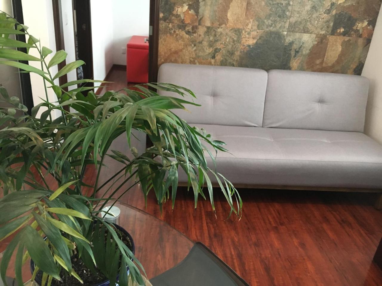 Casa Molcajete Apartment Mexico City
